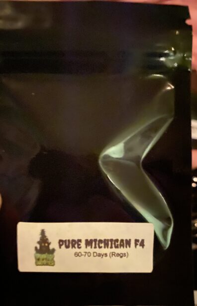 Freak Genetics Pure Michigan F4 5 Regular Seeds