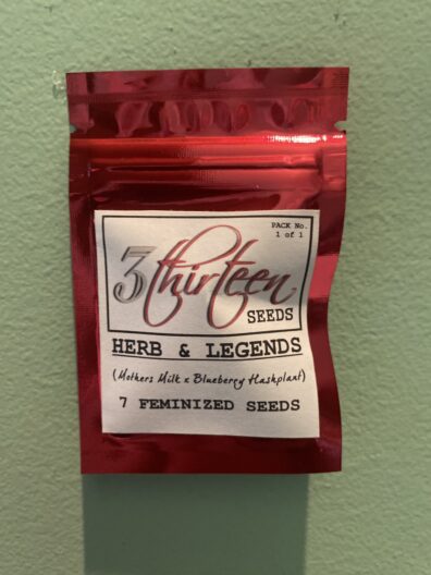 3Thirteen Seeds Herb & Legends F1 7 Feminized Seeds