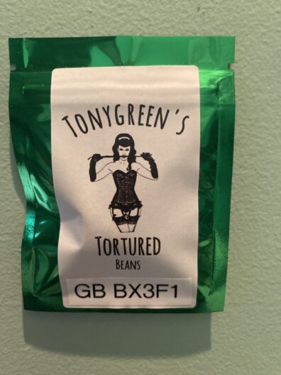 Tonygreen's Tortured Beans Gorilla Bubble Bx3f1 13 Regular Seeds