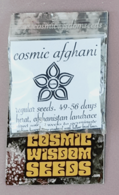 Cosmic Wisdom Seeds Cosmic Afghani 10 Regular Seeds
