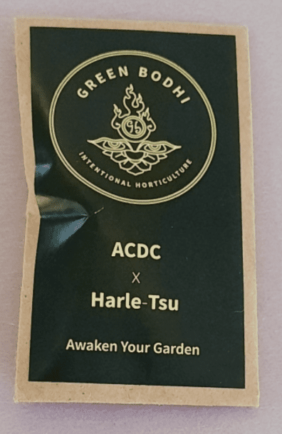 Green Bodhi ACDC x Harle-Tsu 10 Regular Seeds
