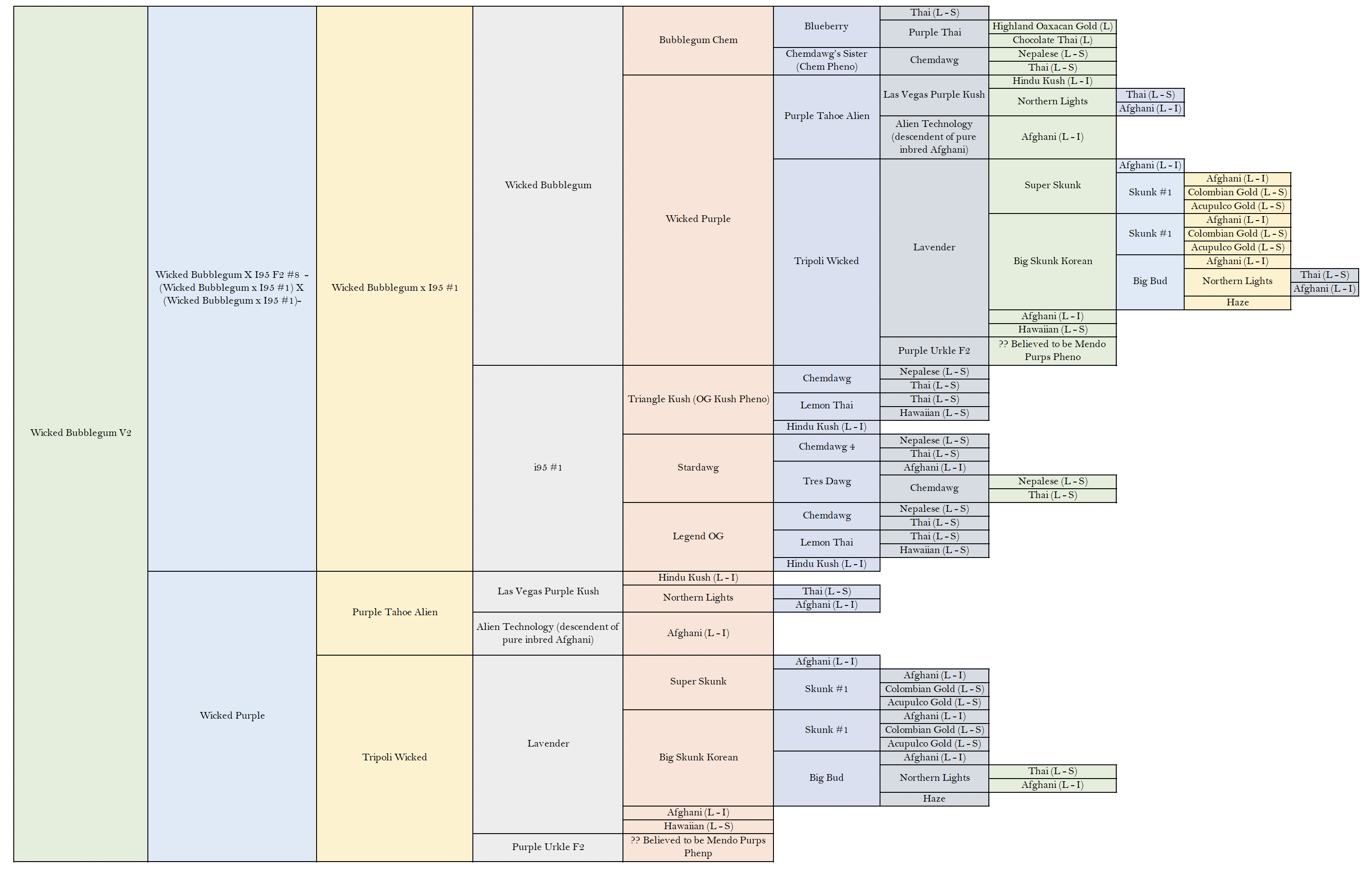 Wicked Bubblegum v2 F5 7 Regular Seeds - Image 6