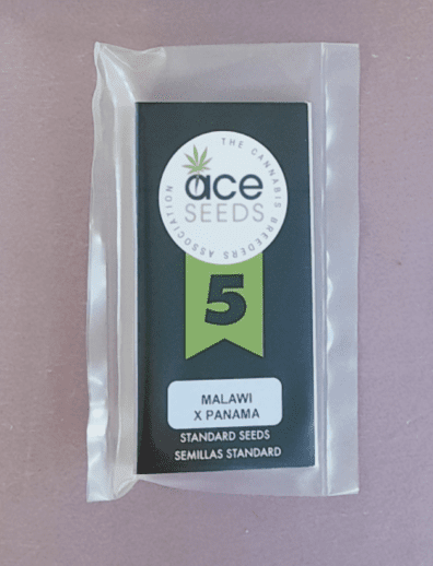 Ace Seeds Malawi x Panama 5 Feminized Seeds
