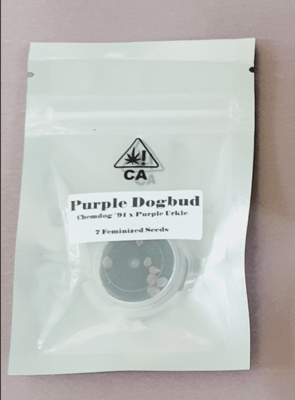 CSI Humboldt Purple Dogbud 7 Feminized Seeds