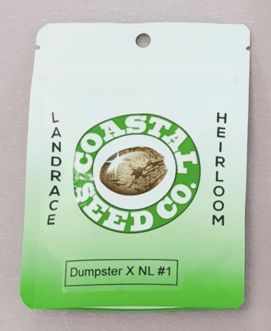 Coastal Seed Co Dumpster x Northern Lights #1 10 Regular Seeds