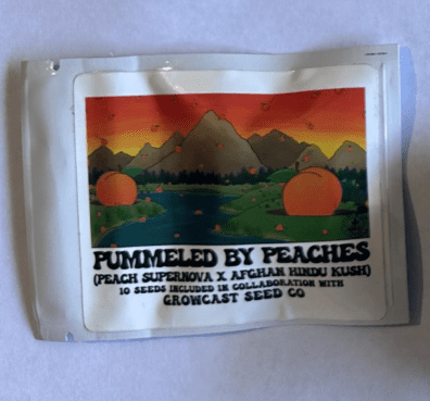 Heart & Soil Seeds Pummeled By Peaches 10 Regular Seeds