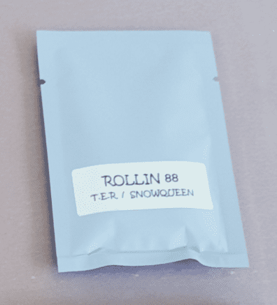 Strayfox Rollin 88 10 Regular Seeds