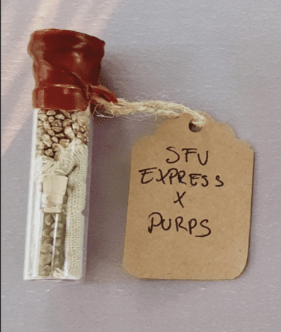 Sunken Treasure Seeds SFV Express x Purps 10 Regular Seeds
