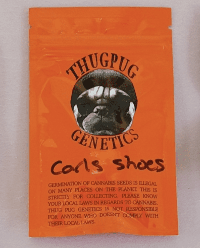 Thug Pug Genetics Carl's Shoes 10 Regular Seeds