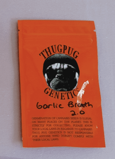 Thug Pug Genetics Garlic Breath 2.0 10 Regular Seeds