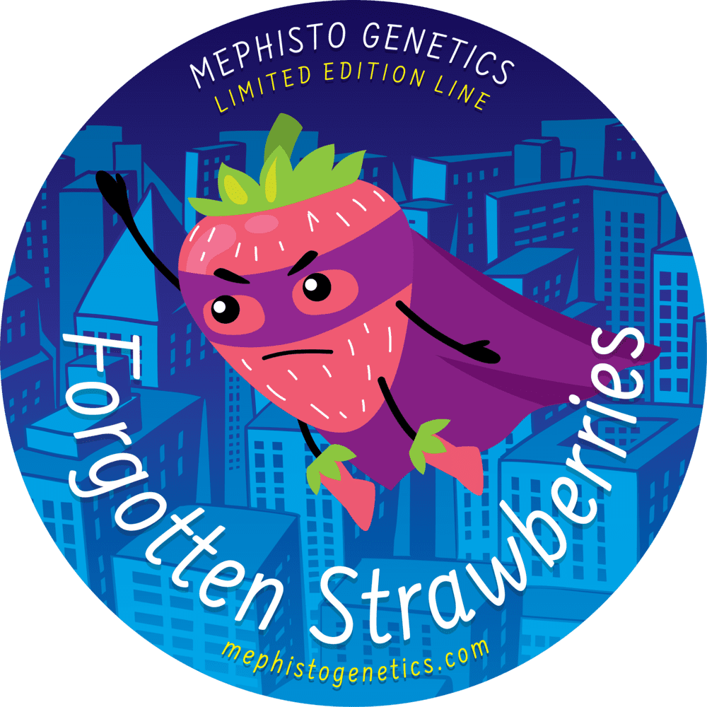 Forgotten Strawberries F3 Auto 3 Feminized Autoflower Seeds - Image 2