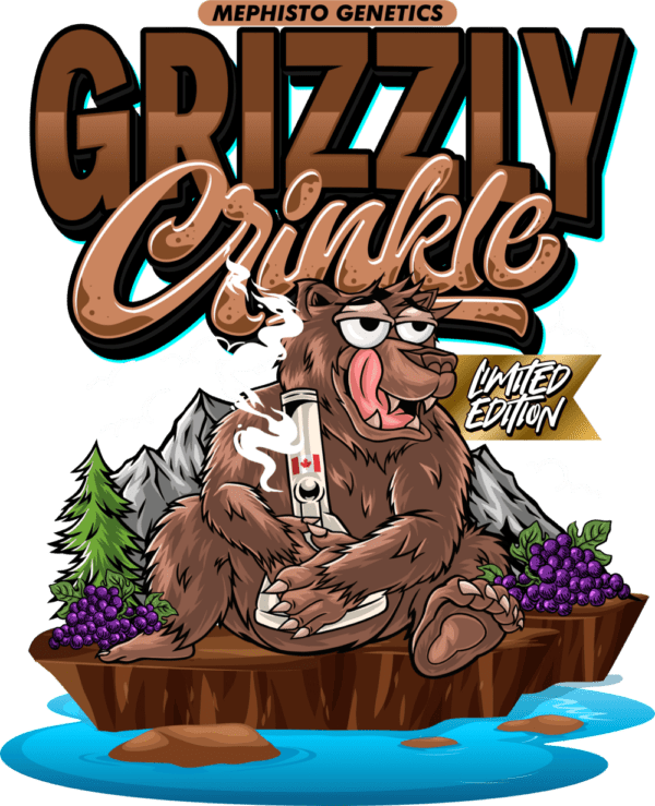 Grizzly Crinkle F3 Auto 3 Feminized Autoflower Seeds - Image 2