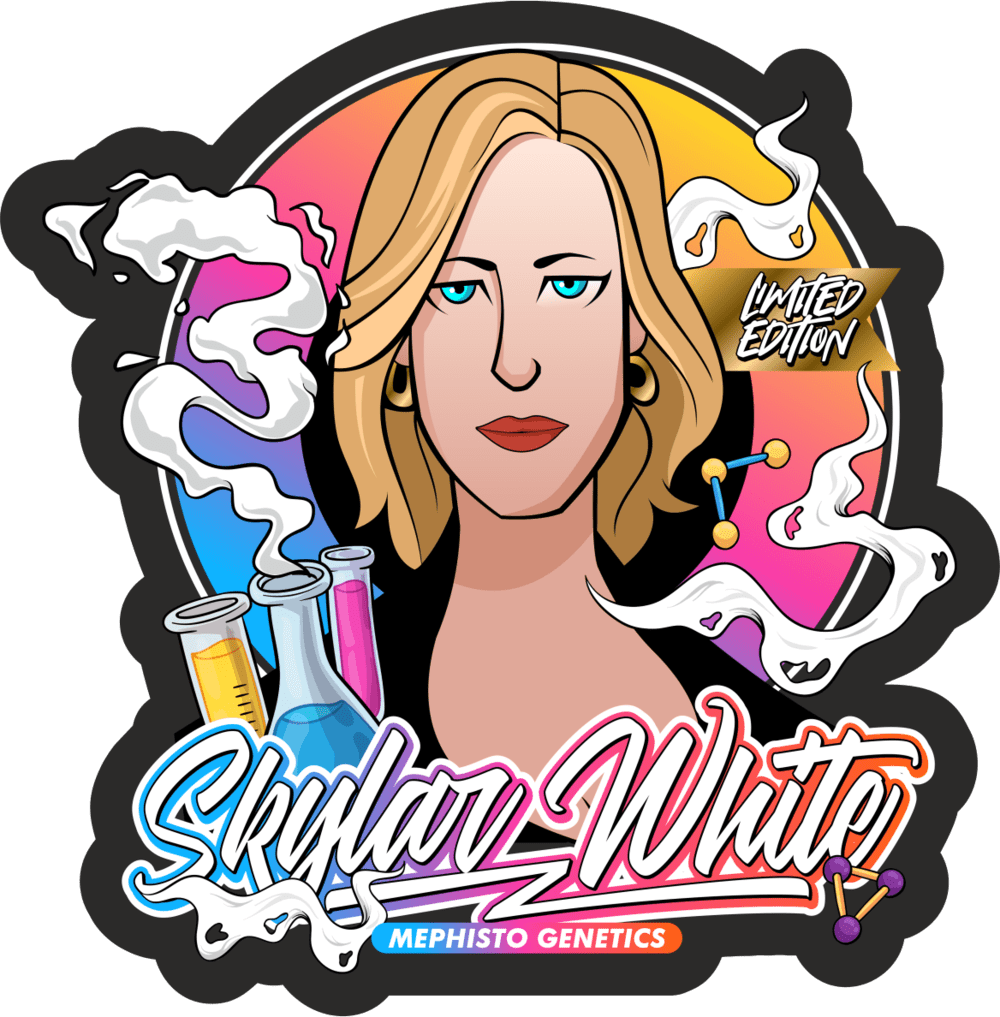 Skylar White F1 Auto 3 Feminized Autoflower Seeds - Image 2