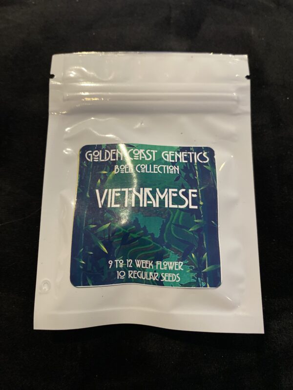 Golden Coast Genetics BOEL Vietnamese 10 Regular Seeds