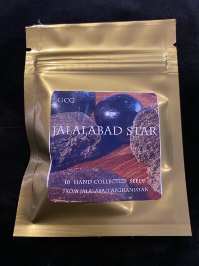Golden Coast Genetics Jalalabad Star Afghan Landrace 10 Regular Seeds