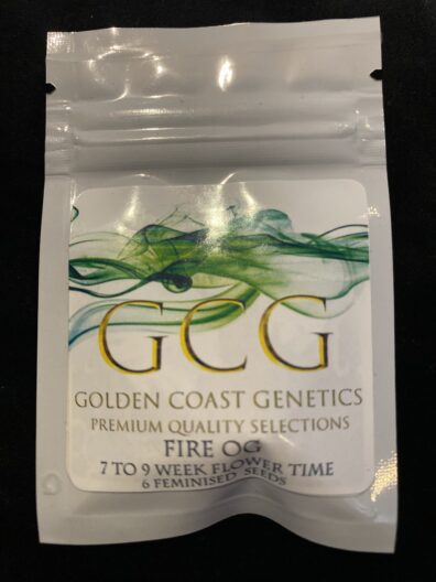 Golden Coast Genetics Fire OG 6 Feminized Seeds