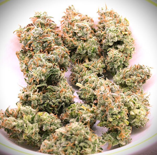 Cheese Blues (Deacon Blues x Campbell County Cheese) 10 Feminized Seeds