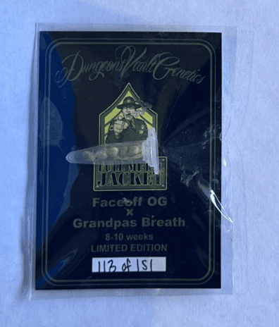 Dungeon Vault Genetics Full Metal Jacket 12 Regular Seeds