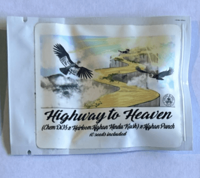 Heart & Soil Seeds Highway to Heaven 10 Regular Seeds