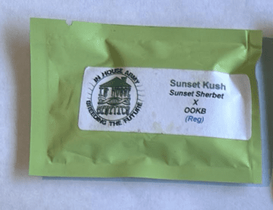 In House Genetics Sunset Kush 10 Regular Seeds