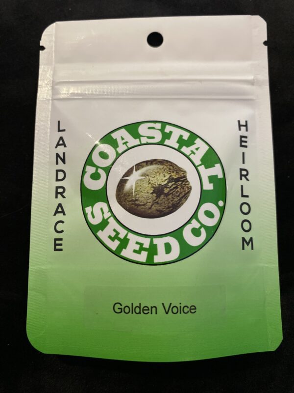 Coastal Seed Co Golden Voice 10 Regular Seeds