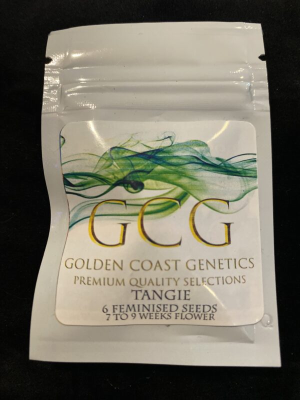 Golden Coast Genetics Tangie 6 Feminized Seeds