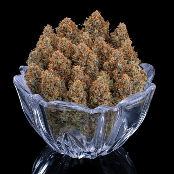 Cinderella Purple ([Purple Urkle x C99] x Cinderella 99) 9 Feminized Seeds - Image 5