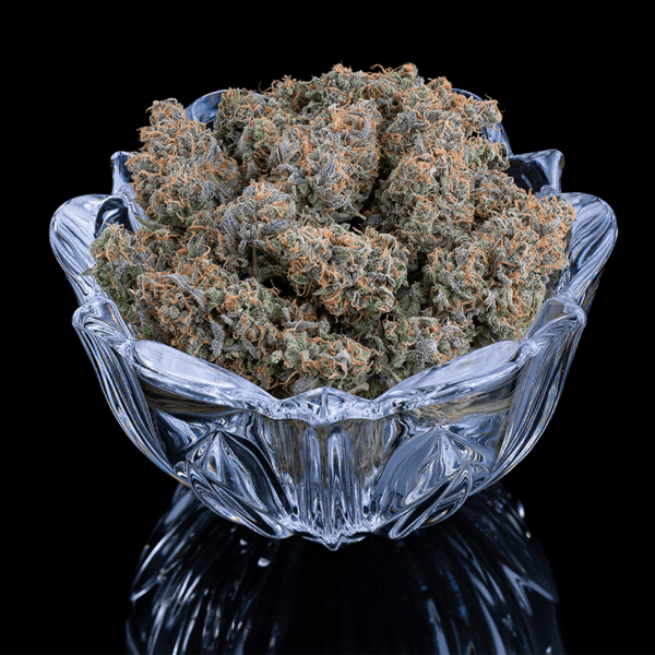 Apollo (Genius x Cinderella 99) 3 Feminized Seeds - Image 5