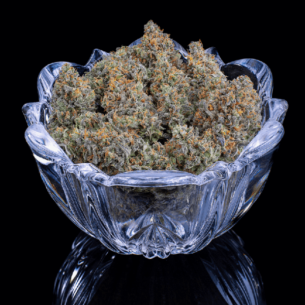 Cinderella 99 (Princess x C99) 3 Feminized Seeds - Image 4