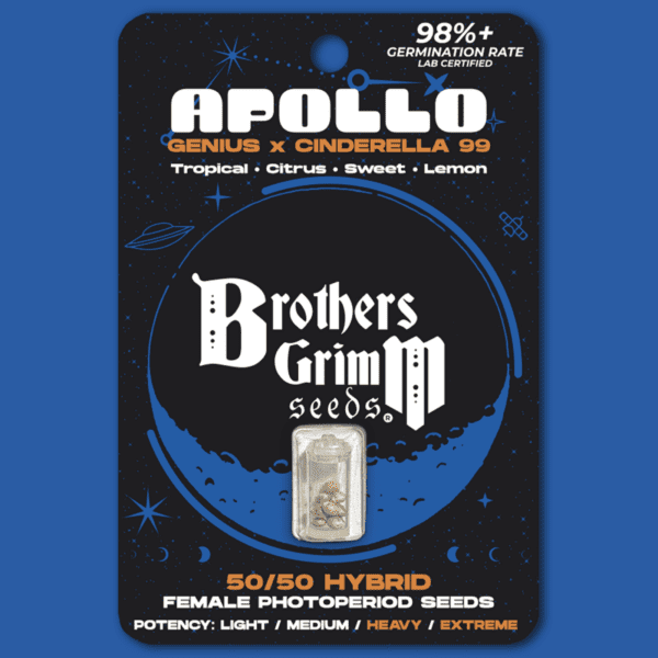 Apollo (Genius x Cinderella 99) 3 Feminized Seeds