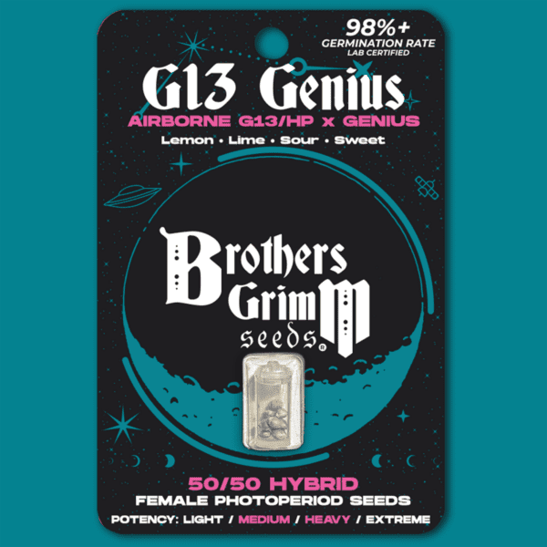 G13 Genius (Airborne/G13 x Genius) 3 Feminized Seeds