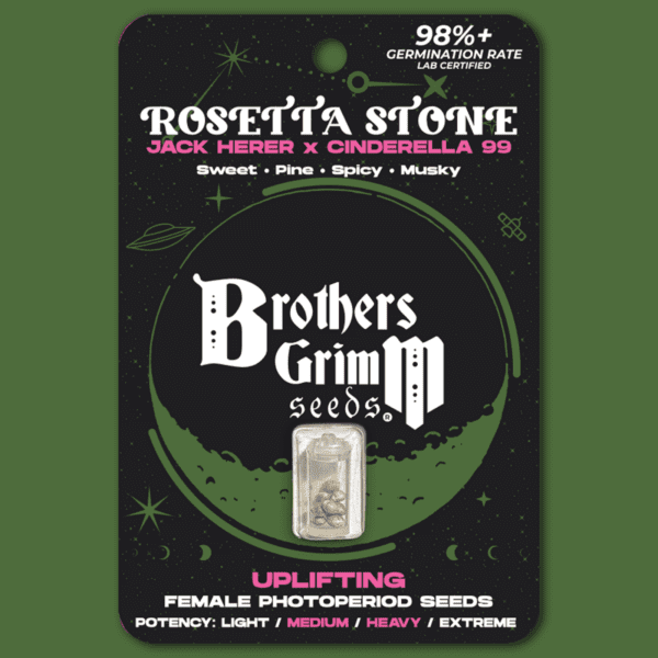 Rosetta Stone (Jack Herer x Cinderella 99) 3 Feminized Seeds