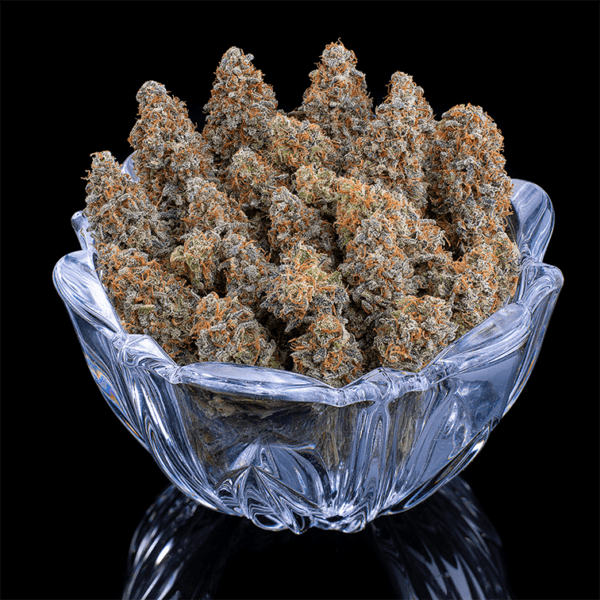 G13 Genius (Airborne/G13 x Genius) 3 Feminized Seeds - Image 4