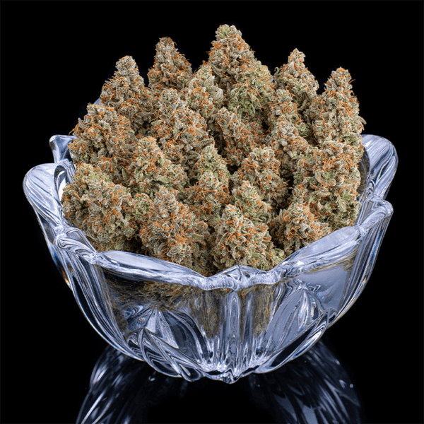 Rosetta Stone (Jack Herer x Cinderella 99) 3 Feminized Seeds - Image 6