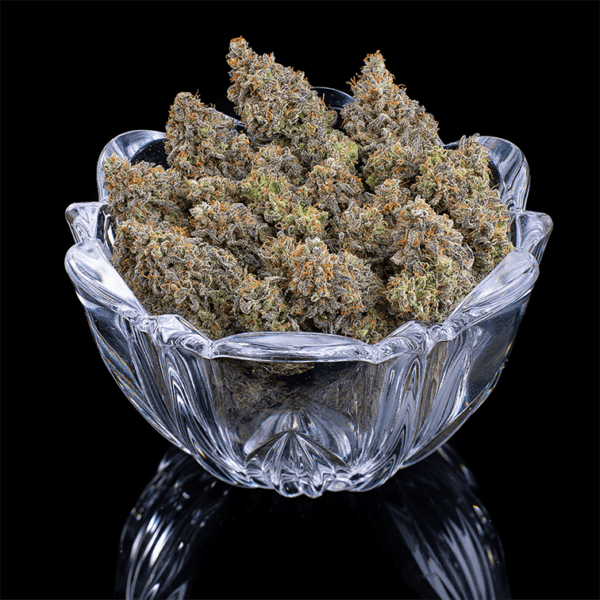 Princess Haze (Cinderella 99 x Princess Haze) 3 Feminized Seeds - Image 7