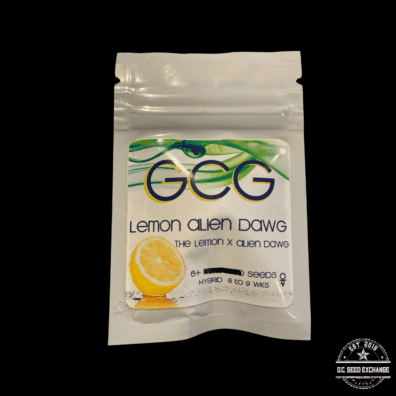 Golden Coast Genetics Lemon Alien Dog F1 6 Regular Photoperiod Seeds