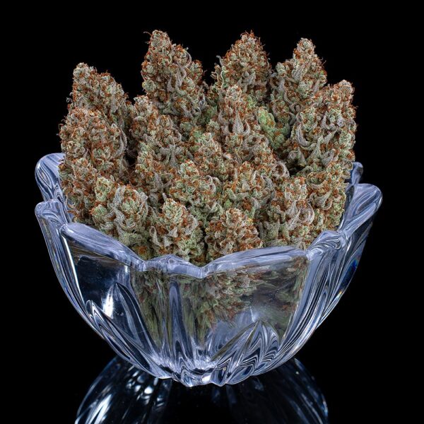 Headband 99 (Headband 99 x C99) 9 Feminized Seeds - Image 5