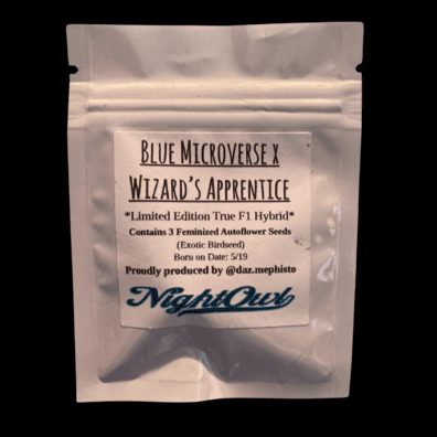 Night Owl Seeds Blue Light Special (Blue Microverse F3 x Wizard's Apprentice F4) 3 Feminized Autoflowering Seeds