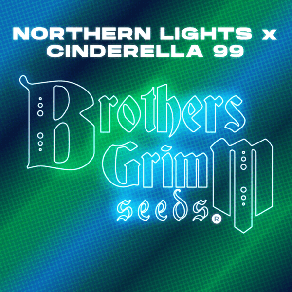 Northern Lights x Cinderella 99 F1 9 Feminized Seeds