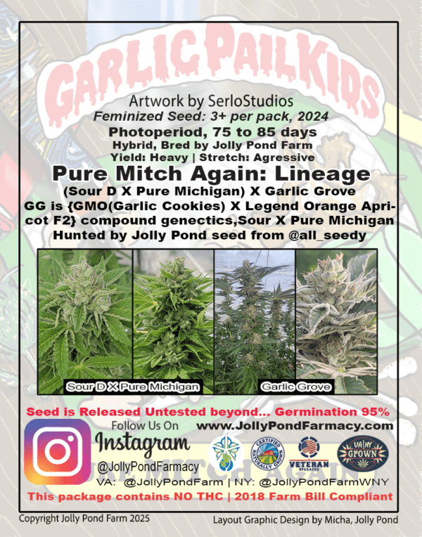 Pure Mitch Again F1 ([Pure Michigan x Sour D] x Garlic Grove) 3 Feminized Seeds - Image 2