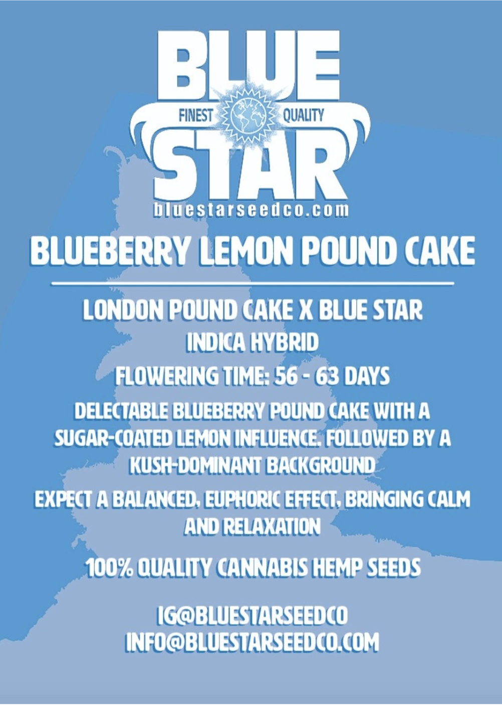 Blueberry Lemon Poundcake F1 (London Poundcake x Blue Star) 4 Feminized Seeds - Image 2