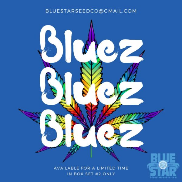 Blue Star Seed Co Box Set #2 28 Feminized Seeds - Image 21