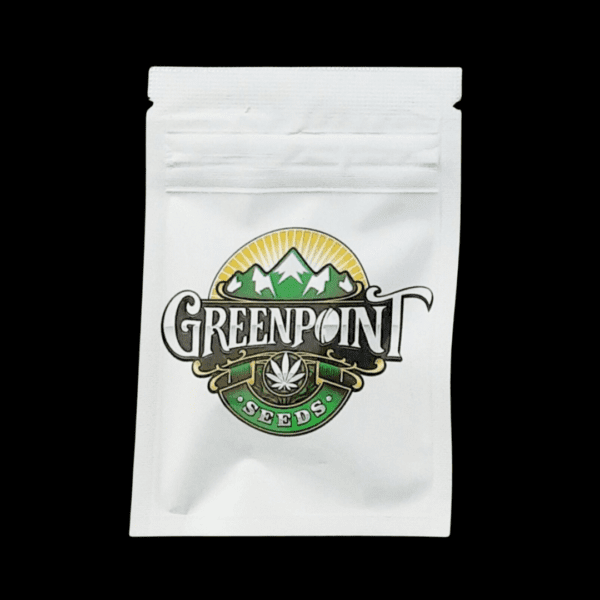 Greenpoint Seeds Ghost Town F1 10 Regular Seeds - Image 2