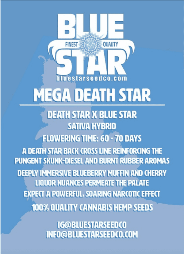 Mega Death Star F1 (Death Star x Blue Star) 4 Feminized Seeds - Image 2