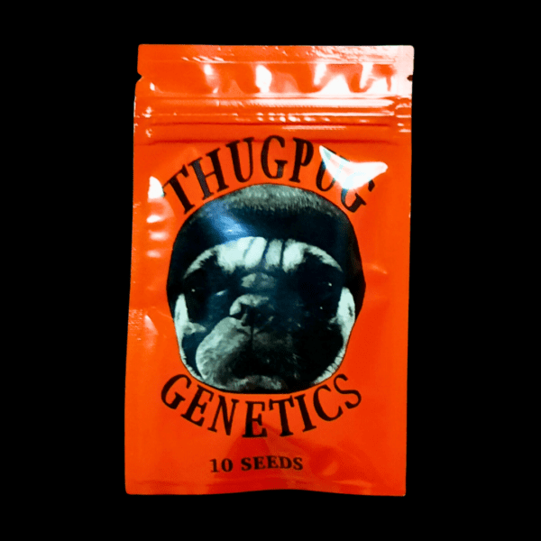 Thug Pug Genetics Future Wife 10 Regular Seeds - Image 2