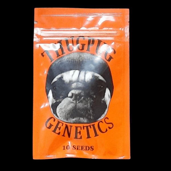 Thug Pug Genetics Peanut Butter Breath 10 Regular Seeds - Image 2