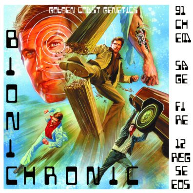 Bionic Chronic F1 (91 Chem Sage x Fire OG) 12 Regular Seeds