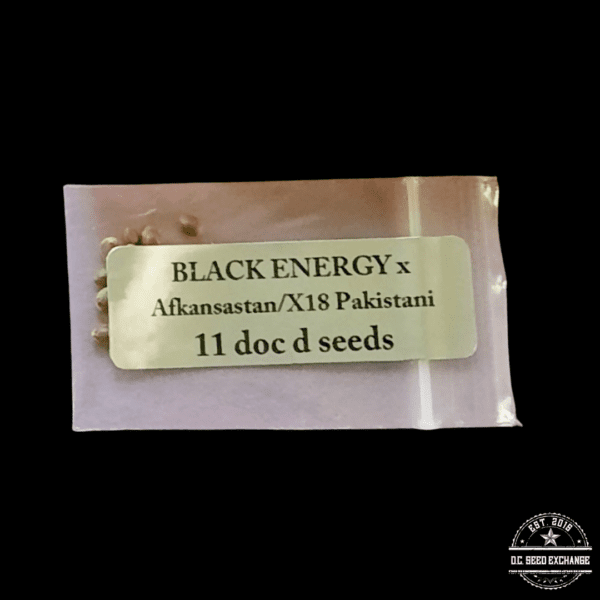 Doc D Seeds Black Energy x Afkansastan/X18 Pakistan 11 Regular Seeds