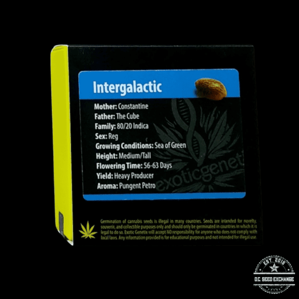 Exotic Genetix Intergalactic 10 Regular Seeds