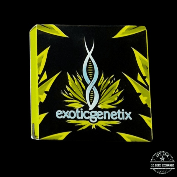 Exotic Genetix Intergalactic 10 Regular Seeds - Image 2